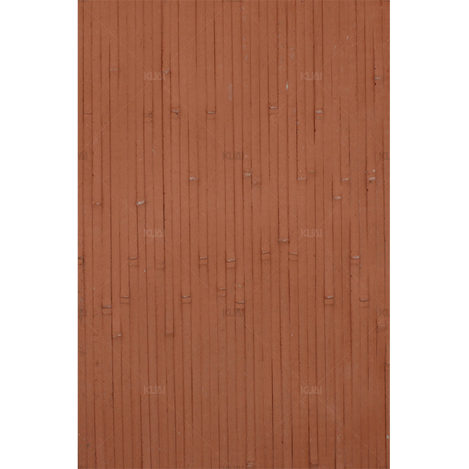 SS10