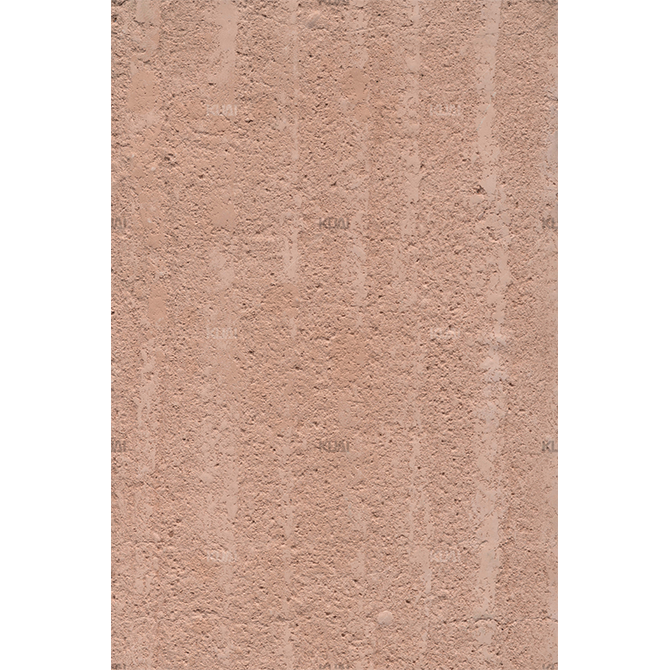 SS45